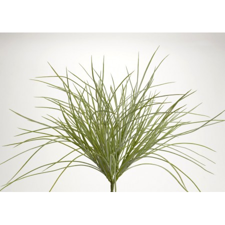 Piquet herbe jardin H51