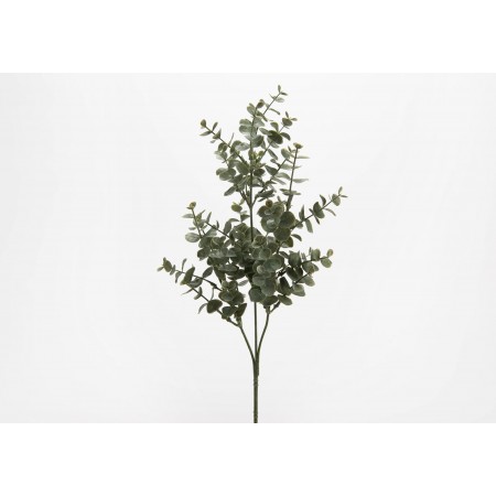 Eucalyptus azura H / 62 cm...